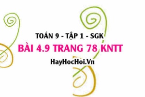 Bài 4.9 Toán 9 tập 1 SGK Kết nối tri thức
